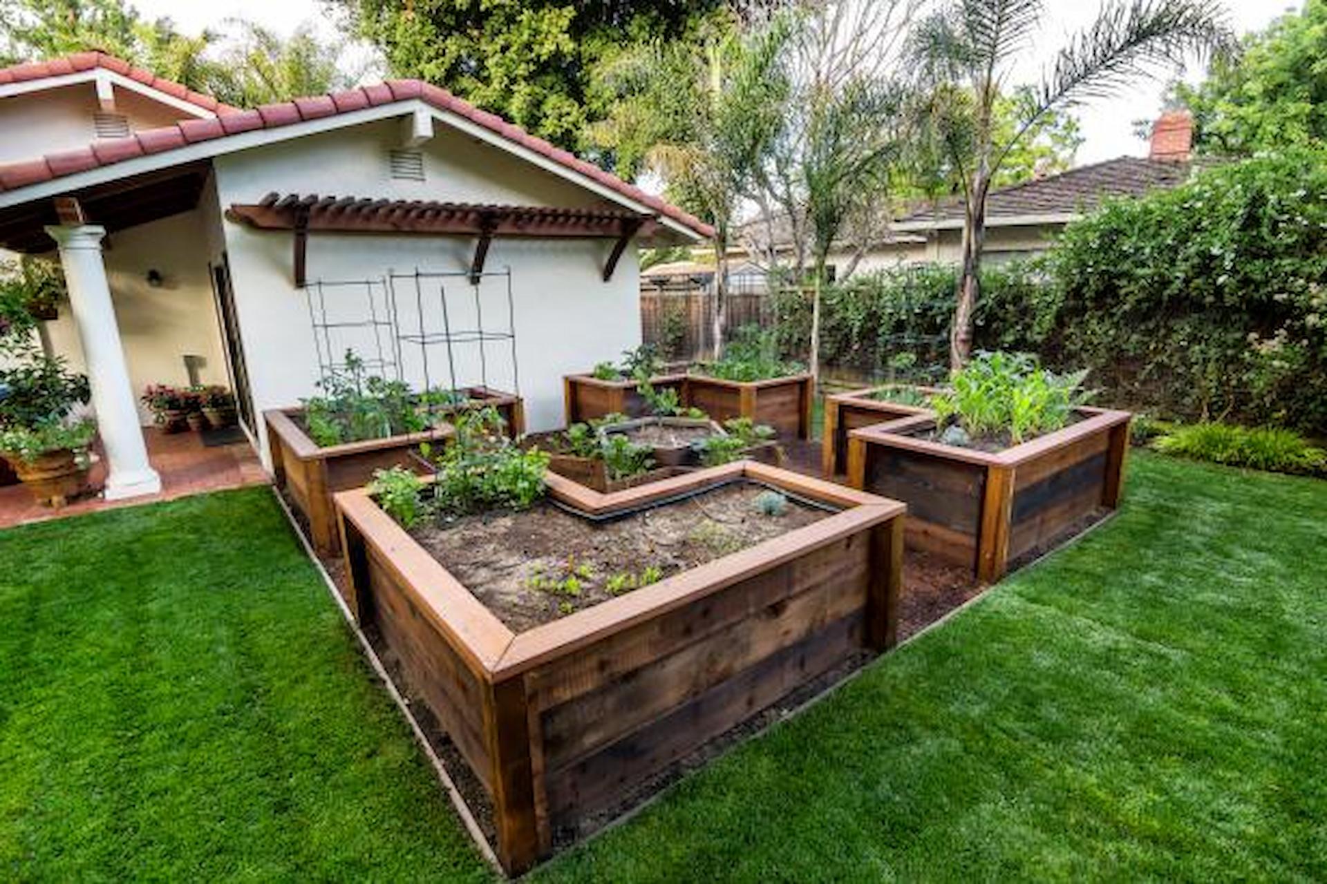 How To Hire The Best Garden Transformation Professionals?