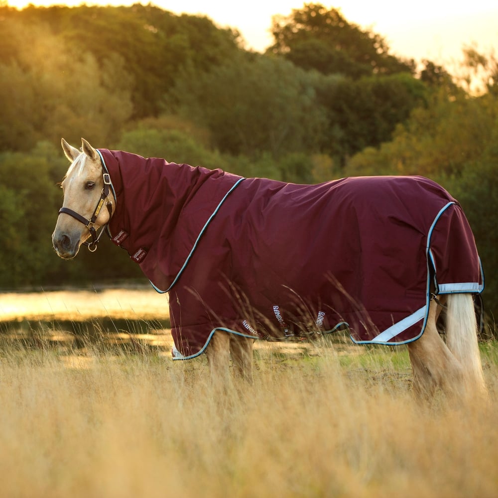 How To Choose The Right Weight Rug For Your Horse